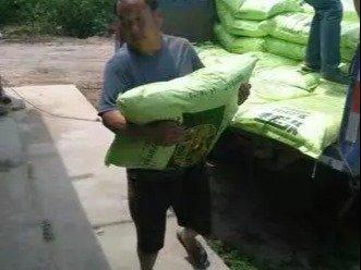 專業人工搬運服務 安全高效，全面保障